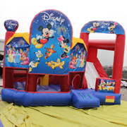 new design Disney inflatable castles